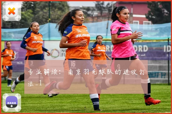 专业解读：南京羽毛球队的进攻打法_1