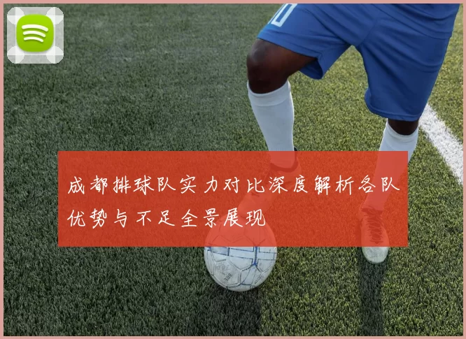 成都排球队实力对比深度解析各队优势与不足全景展现