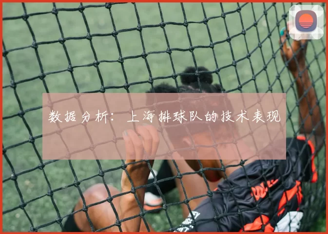 数据分析：上海排球队的技术表现