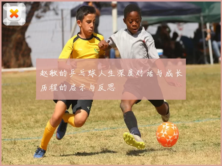 赵敏的乒乓球人生深度对话与成长历程的启示与反思