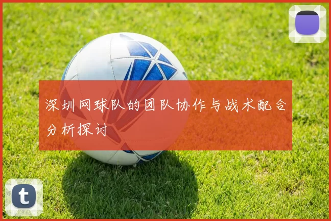 深圳网球队的团队协作与战术配合分析探讨