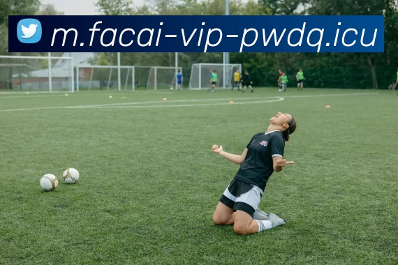 乐鱼体育APP 体育赛事宣传图